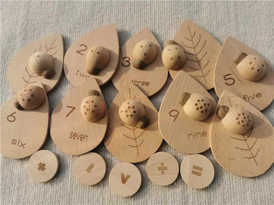 Wooden Montessori Sensory Sorting Set